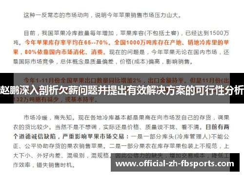赵鹏深入剖析欠薪问题并提出有效解决方案的可行性分析 赵鹏深入剖析欠薪问题并提出有效解决方案的可行性分析