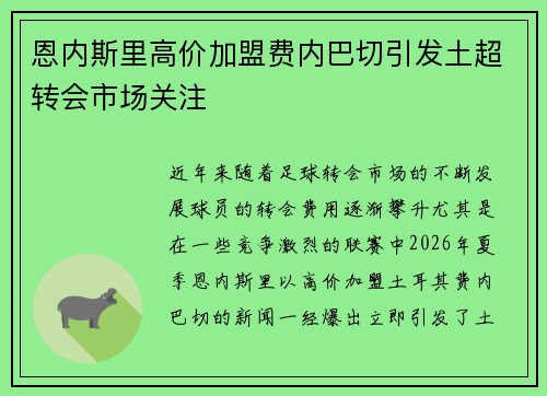 恩内斯里高价加盟费内巴切引发土超转会市场关注